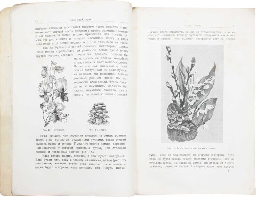 Ельманов Н., Ельманова Е. У нас свой садик. Рассказы для младшего возраста. С 48 рис. / Обл. худож. Оскара Клевера. М.: Изд. Комиссии по улучшению жизни детей при В.Ц.И.К. и кооперативного изд-ва «Жизнь и знание», 1924.
